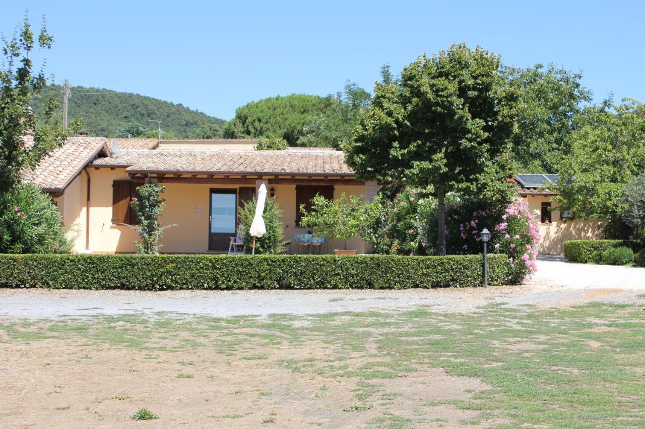 Agriturismo Casale Del Contadino Bolsena Exterior foto